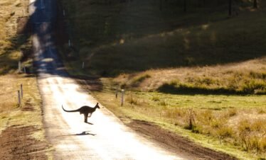 Australia Image