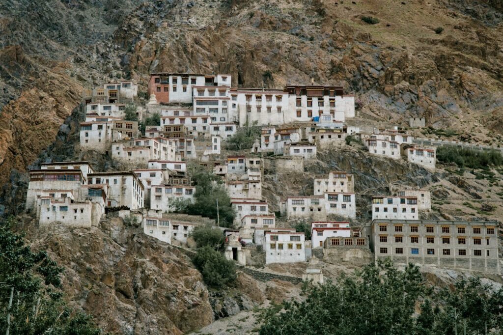 Ladakh Image