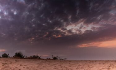 Rajasthan